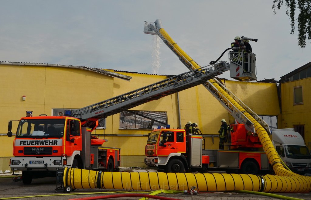 Grossfeuer Poco Lager Koeln Porz Gremberghoven Hansestr P557.JPG - Miklos Laubert